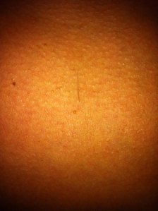 1235945_10151562303740882_1435636638_n