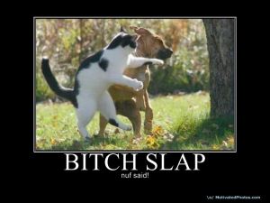 633771406276058090_bitchslap-s800x600-82434