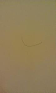 hair-stuck-to-shower